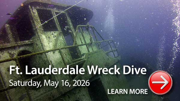 wreck