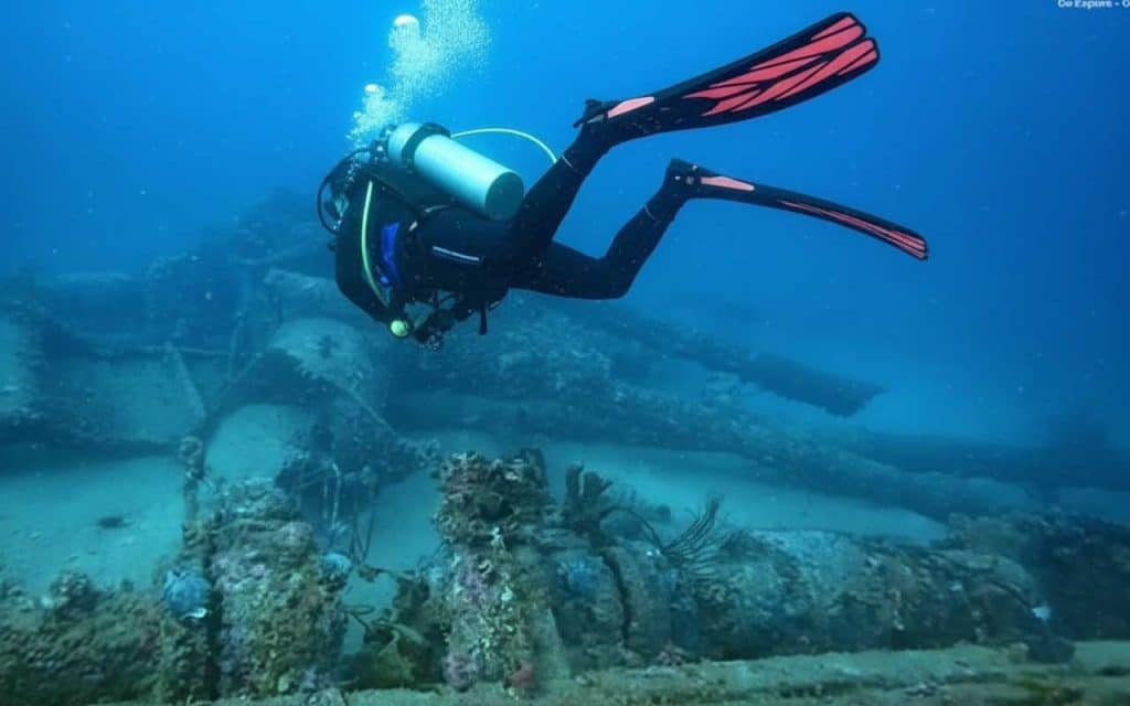 Diver