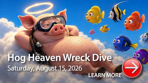 Hog Heaven