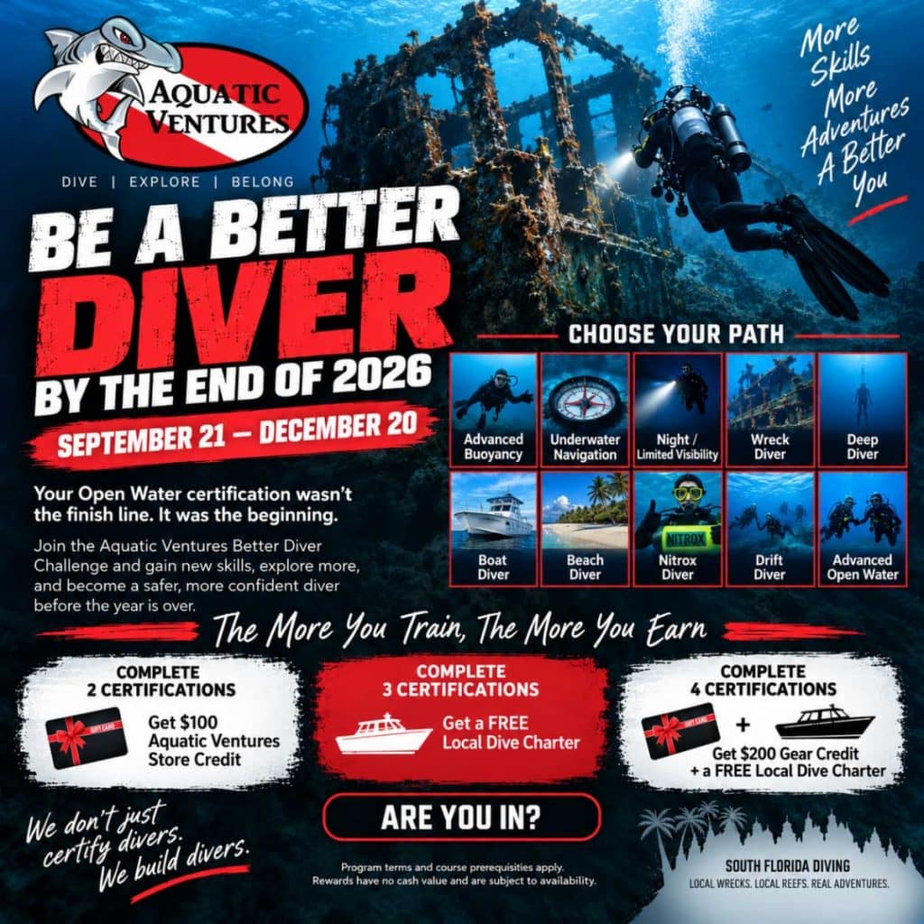Better Diver