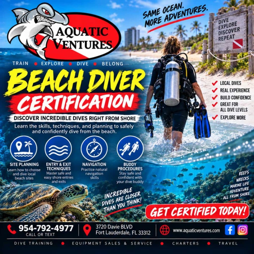 Beach Diver