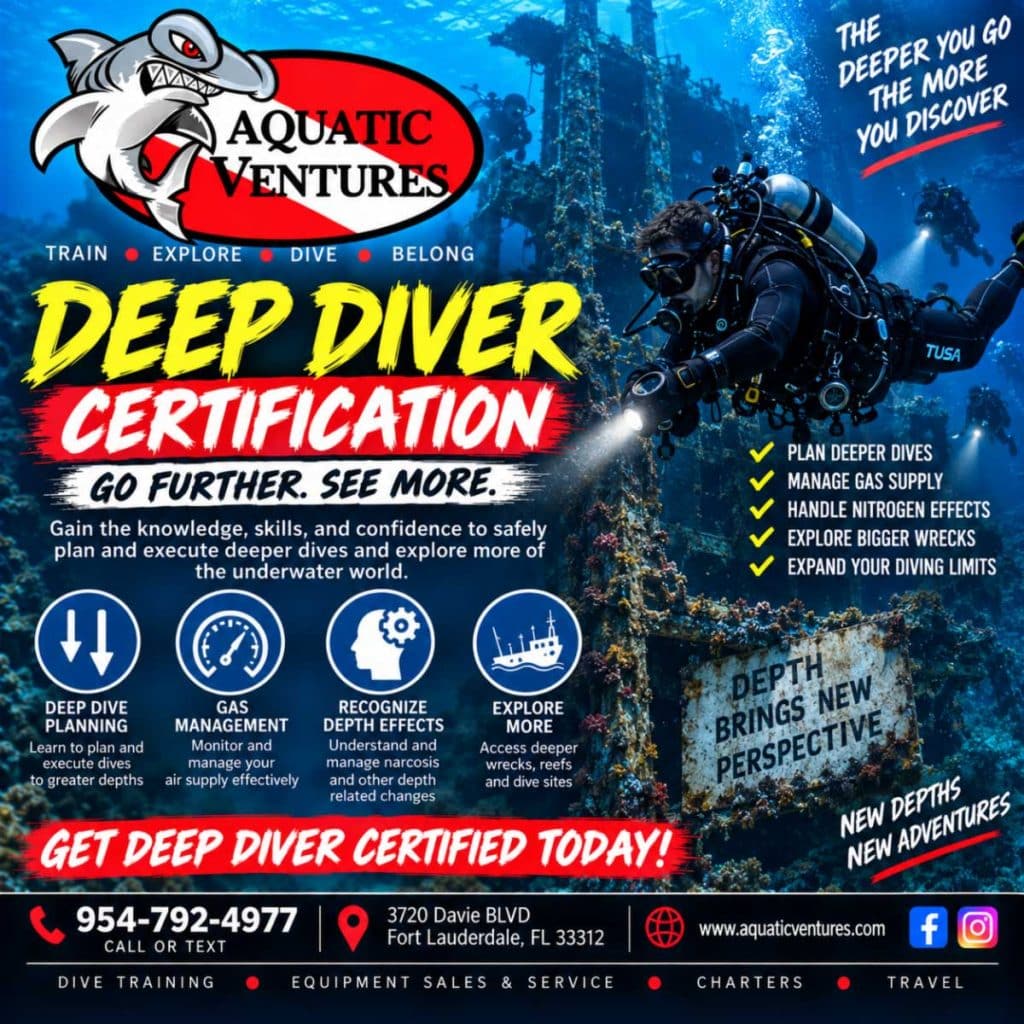 Deep Diver