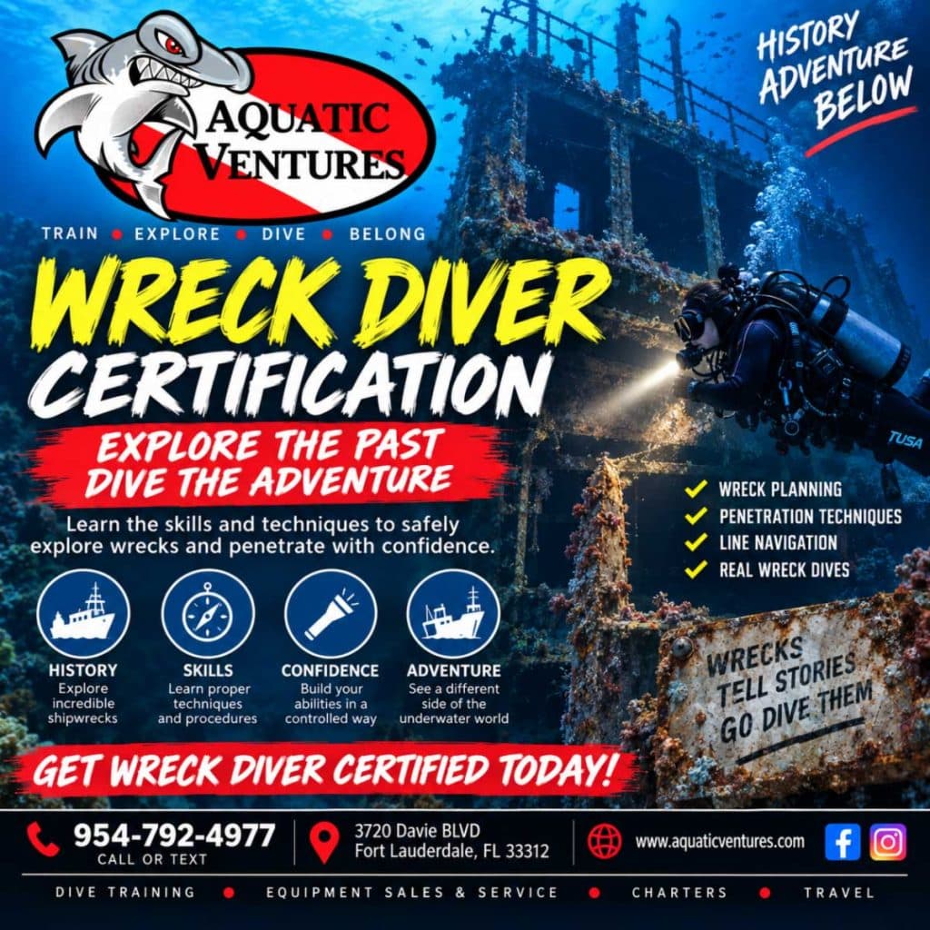 Wreck Diver